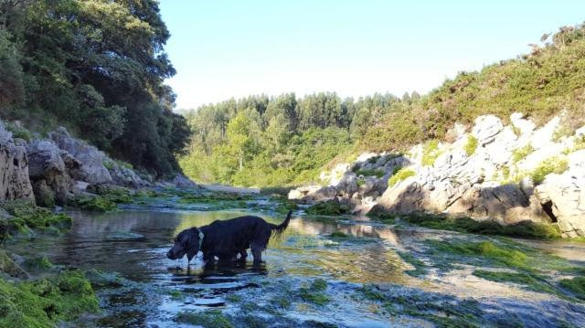 Apartamento Rural Lago Ercina Lägenhet Onís Exteriör bild